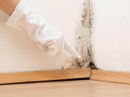 Best Residential Mold Inspection & Testing  in Elkhart, TX